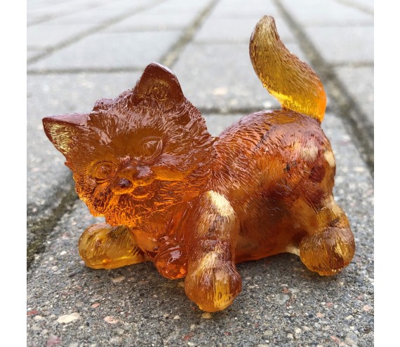 Котенок играет Янтарный