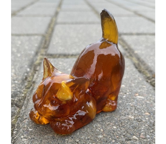Котенок игривый Янтарный