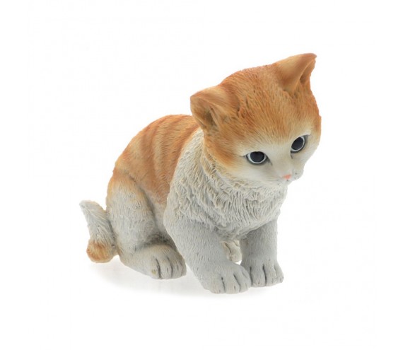Любопытный котенок