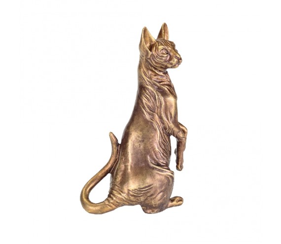 Сфинкс кот (УБ)