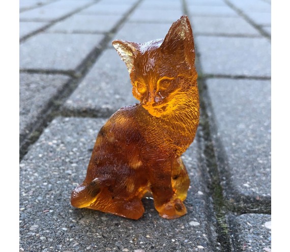 Котенок ЯНТАРНЫЙ