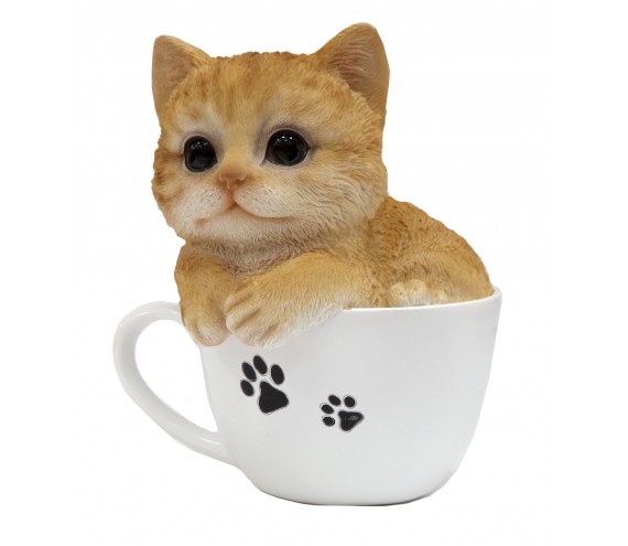Котенок рыжий в чашке 												
