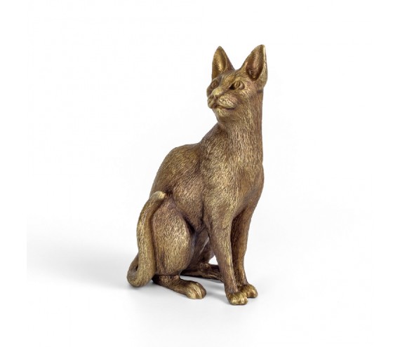 Корн-рекс кот (УБ)