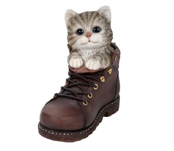 Котенок Коко в ботинке											
