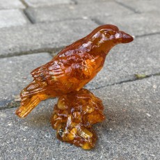 Ворона Янтарная