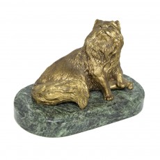 Персидский кот на камне