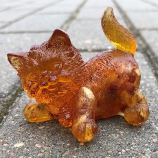 Котенок играет Янтарный