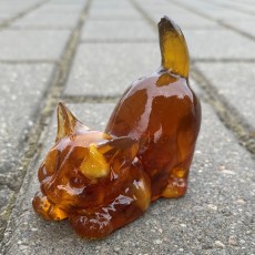 Котенок игривый Янтарный