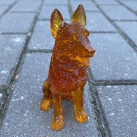 Немецкая овчарка Янтарная