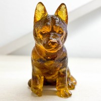 Овчарка щенок Янтарный